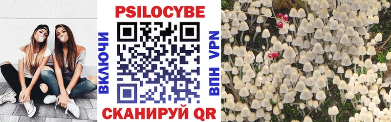 Купить  Валдай  Галлюциногенные грибы мухоморы 